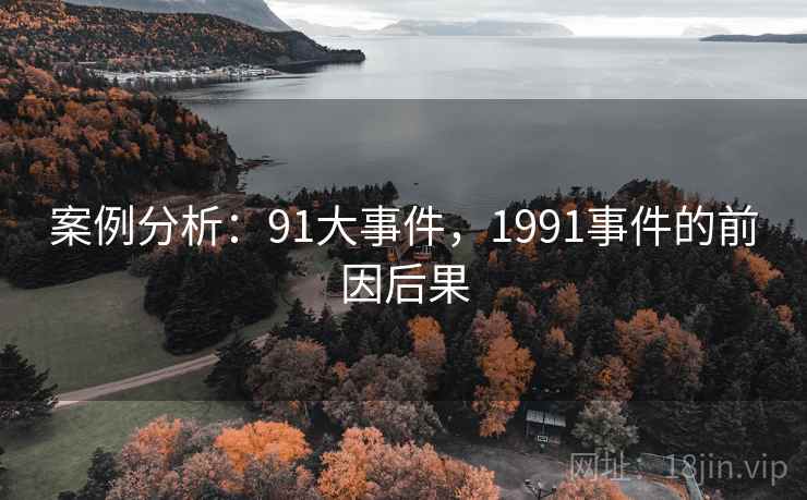 案例分析：91大事件，1991事件的前因后果
