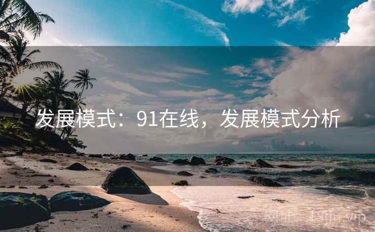 发展模式：91在线，发展模式分析