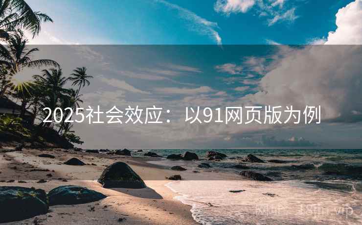 2025社会效应：以91网页版为例