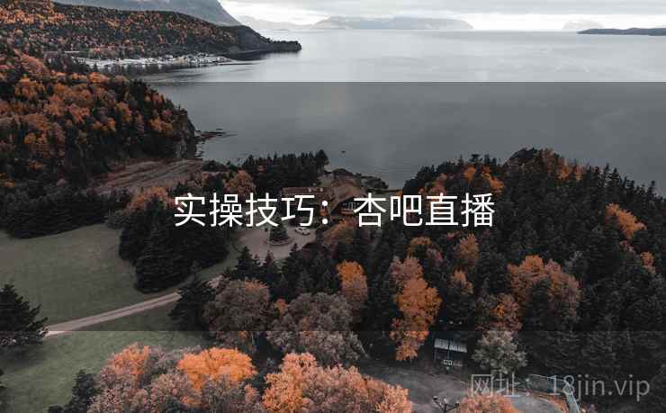 实操技巧：杏吧直播