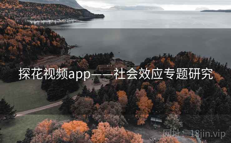 探花视频app——社会效应专题研究 探花视频app——社会效应专题研究