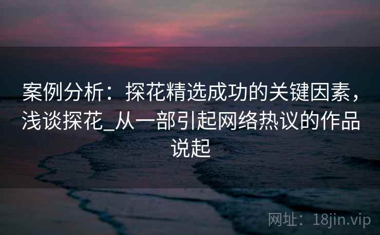 案例分析：探花精选成功的关键因素，浅谈探花_从一部引起网络热议的作品说起