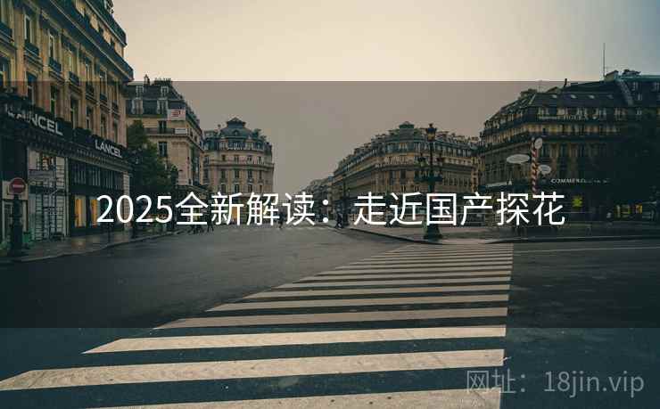 2025全新解读：走近国产探花