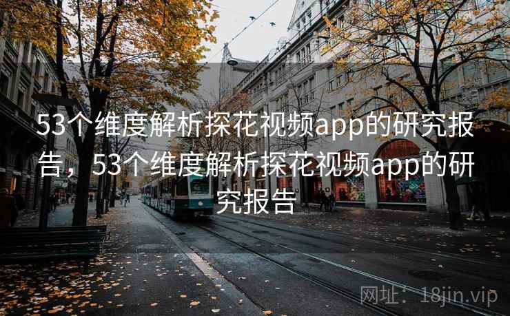 53个维度解析探花视频app的研究报告，53个维度解析探花视频app的研究报告